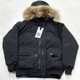 Daunenjacke Kanada Mäntel Herren Parka Puffer Winterjacken Mode Parkas Klassische Designer Canadian Aviat Piloten Kurze Damen