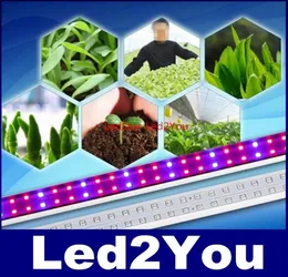 10 шт./лот T8 трубка для выращивания растений 14 Вт 18 Вт 28 Вт 37 Вт 2 фута 3 фута 4 фута 5 футов T8 RedBlue светодиодная лампа для выращивания растений переменного тока 110240V7757251