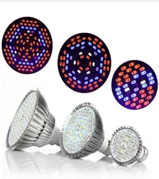 LED Grow Lights 30W 50W 80W طيف كامل مصابيح النمو مصابيح النمو E27 LED زراعة البستنة ضوء للحديقة الزراعية المائية SY2946688