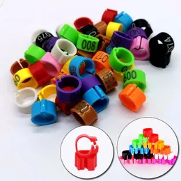 Charme 100 peças anéis de perna de pombo de corrida faixas 8mm multicolorido anel de pé de pombo com brincos palavra ferramenta de treinamento de pássaros