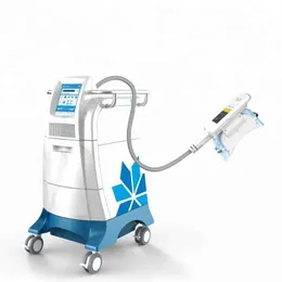 Coolsculpting 360 Cryo Slimming Cavitation RF Lipolaser Double Chin Device Cryolipolisis 지방 체형 슬리밍 전문 냉동 요법 기계