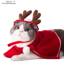 Abbigliamento per compagni di gatto per gatto di gatto corna di Natale cappello mantello abiti travestimenti di Halloween per gatti per cani di piccola taglia abiti per il capodanno