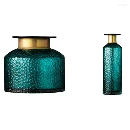 Вазы, 2 шт., современное скандинавское стекло, вогнутая ваза для цветов в виде змеи, композиция для гостиной, гидропоника, украшение дома A B