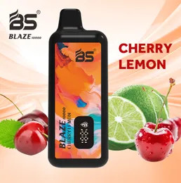 BS BLAZE LED SMART SCREE SHIVNING E-Liquid Batterinivåer 10K 12K 15K MESH COL POD 18 ml Förfylld 10000 puffs ECIG CHOSHE CHOSHE-leverantör