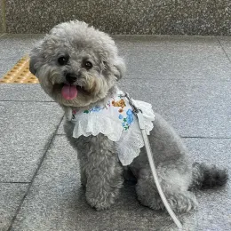 Set Pettorina per animali domestici per orsi carini per cani di piccola taglia Teddy maltese Bichon INS Corea Pettorina per cani Set guinzaglio con bordo in pizzo Accessori per cani