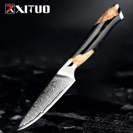 شيف تقشير سكين 3.5 بوصة طبخ المطبخ سكين دمشق VG10 Super Steel 67layer Razor Sharp Fruit Knife Awesome Edge Retention 240118