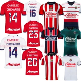 Chicharito Chivas de Guadalajara Soccer Jerseys 23 24 3xl 4xl Alvarado F.Beltran C. Cowell 2023 Football Shirt Home Away Men Kid Kit Kit Kit