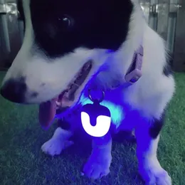 Collare impermeabile per abbigliamento per cani con luce Ipx8 USB ricaricabile con 4 modalità per cani da arrampicata notturni