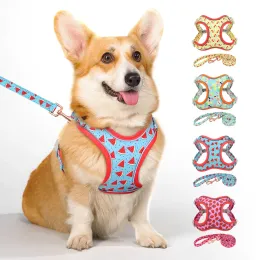Ställer in Mesh Nylon Dog Harness and Leash Set Reflective Dogs Väst sele med blybältesrep för små medelstora stora hundar mops