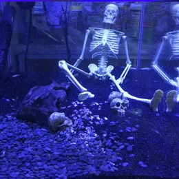 Décorations 1 pièces Aquarium squelette humain résine réservoir de poisson crâne squelette résine ornement Reptile réservoir réservoir de poisson décoration d'aquarium