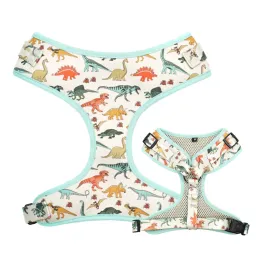 Collars Dinosaur Dog Collar, Dino Personalized Dog Collar Bow with Matching Leash Harness