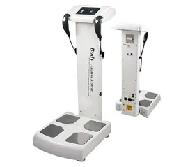 O MAIS NOVO analisador de gordura corporal analisador composto e muscular com máquina de bioimpedância com impressora Análise de impedância bioelétrica fre2521360
