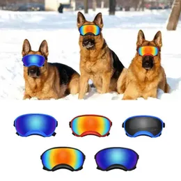 Abbigliamento per cani Occhiali alla moda Occhiali da vista regolabili Occhiali da toelettatura anti-UV Protezione per gli occhi degli animali Occhiali da sole Occhiali