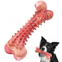 Giocattoli Giocattolo per cani da compagnia Giocattolo da masticare in gomma a forma di osso Resistente al morso Giocattolo per la pulizia dei denti Cane da masticare Bastone molare Forniture per cani Prodotti per animali domestici