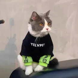 Trajes de gato outono e inverno gatos cães roupas fantoches azul anti perda de cabelo pequeno cão animais de estimação camisola de pelúcia