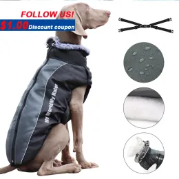 Vestuário outono inverno quente gola de pele do cão de estimação casaco roupas para cães grandes panos à prova dwaterproof água jaqueta colete para wilma cão buldogue francês x6l