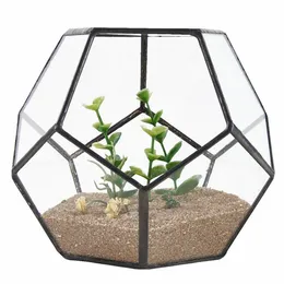 Black Glass Pentagon Geometric Terrarium Container Window Sill Decor Flower Pot Balcony Planter Diy Display Box No Plant T200104269c