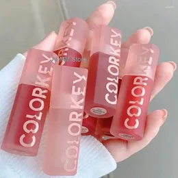 Lipgloss Colorkey Spiegelglasur Langlebiger, antihaftbeschichteter, feuchtigkeitsspendender, glänzender, flüssiger Lippenstift, natürliche Nude-Farb-Make-up-Maquillaje