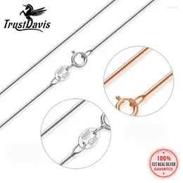 Pendants TrustDavis Fashion 925 Sterling Silver Jewelry Snake Snare Necklace for Women DC01