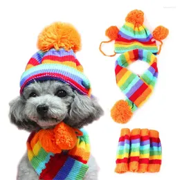 Hundebekleidung, 1 Set (Mütze, Schal, Beinwärmer), Regenbogen-Streifen, Strickmütze, Winter-Haustierprodukte, warme Kleidung, Zubehör für kleine Hunde