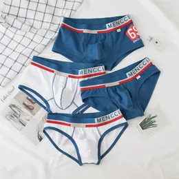 Underbyxor 2st/mänger mäns casual underkläder ren bomull sexig u konvex blå triangel shorts platt vinkeltrend
