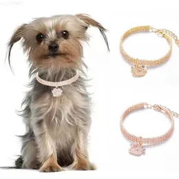 Collari per cani Guinzagli Collare per cani in oro rosa a forma di zampa Bella collana in zirconi solidi per cani York Collari per gattini dorati Accessori regolabili per gatti