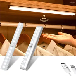 Luci notturne Sensore di movimento PIR Lampada da armadio a LED Dimmerabile USB ricaricabile 6/10/20/36/60 LED Lampada da armadio per armadio da cucina