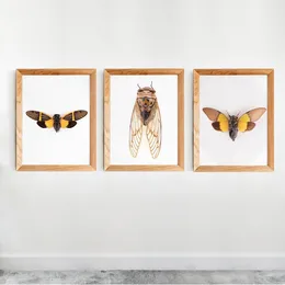 Nordic Retro Art Canvas Painting Butterfly Cicada Insect Evolution Poster Wall Art Pictures Prints Living Room Home Decoration 240119