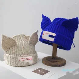 Ball Caps Mode Mit Kapuze Ohr Stricken Hut Doppelschicht Herbst Winter Warme Schwein Woolen Nische Design Hip-hop Kalte Beanie