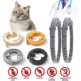 Silicone Adjustable Flea Tick Collar for Dogs Cats Month