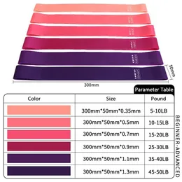 Premium Resistance Bands Set Elastic Exercise Loops for Yoga