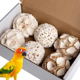 Petyoung Kletternetz Für Vögel – Mit Kauspielzeugen, Aus Seegras, Für Papageien, Sittiche, Nymphensittiche (ca. 28x19 Cm)