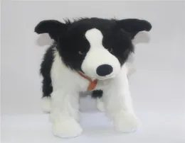 Simulação animal cão brinquedo de pelúcia border collie boneca pequeno cão brinquedos de pelúcia presente boneca presente de aniversário para crianças amigos 47x34cm dy56883895