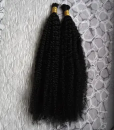 Malaysian Human Hair Bulk Afro Kinky Curly Hair for Natural Color Braiding 8 to 30 Inch Crochet Braids No Weft Bulk Hair 200g 2pcs3342429