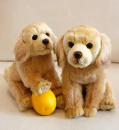 Dorimytrader Jakość Soft Animal Labrador Pluszowa zabawka Pchana zwierzęta Pies Pies Doll Decor Decoration 13x11x11cm DY501296537161