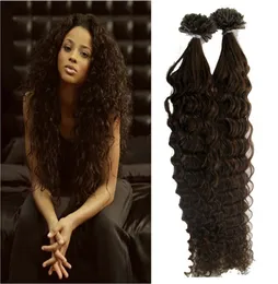 4 Dark Brown Brazilian Deep curly U Tip Nail Tip Hair Extensions 100gstrands Remy Human Hair Keratin Fusion Hair Extensions2598495