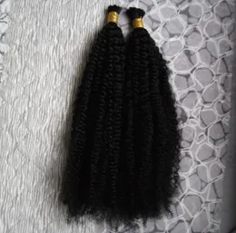 Malezya İnsan Saç Dökme Afro Kinky Kıvırcık Saç Doğal renk örgüsü 8 ila 30 inç tığ işi örgüler atma dökme saç yok 200g 2pcs6915145