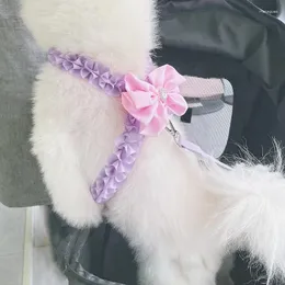 Hundehalsbänder Koreanisches Rosa Lila Schleife Geschirr Leine Set für kleine mittelgroße Haustiere Outdoor-Zubehör Pudel Yorkshrie Welpen Zugseil