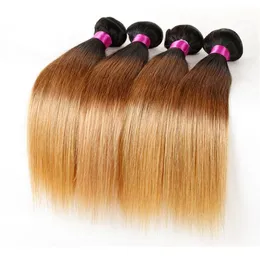 Ombre Straight Hair Weaves Malaysian Indian Peruvian Brazilian Virgin Hair Bundles Human Hair Bundles 1b27 1b99j 1b427 1b309197586