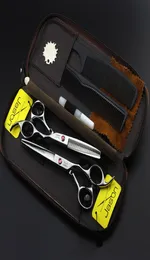 60 Zoll Jason Professionelle Friseurschere Kit Schneiden Effilierschere JP440C Friseurschere Haarschere Friseurwerkzeug7537193