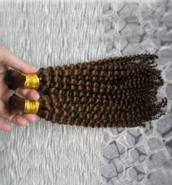 2 Bundles Brazilian Kinky Curly Bundles Human Braiding Hair Bulk 200g 30 Inch Human Hair Curly Whole Lots Bulk Human Braiding 1837200