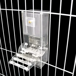 Karmienie Automatyczne karmnik ptaków, pojemnik na ptaki przezroczyste akcesoria do klatki dla papugi gołębi plamki