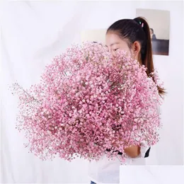 Decorative Flowers Wreaths Natural Fresh Dried Preserved Gypsophila Panicata Babys Breath Flower Bouquets Gift For Wedding Party D Dhqbg