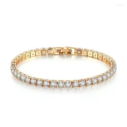 Braccialetti a maglie Luxury Hiphop Iced Out 4mm Cubic Zirconia Crystal Tennis per donna Uomo Bracciale in argento color oro Catena Gioiello