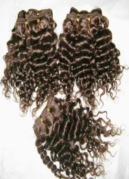 12 teile/los Kleine enge Afro Curly Weave 100 Peruanisches Menschenhaar Günstigstes Ganzes häkeln haarverlängerungen3028254