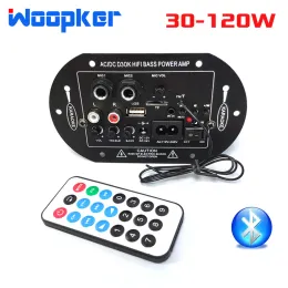 Amplificatore Woopker Amplifier Board D3 Mono Max 120W con Bluetooth FM Radio 11V/ 220V/ 12V/ 24V AMP AMP AMP