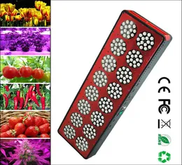 new year 2017 manufacture series LED grow light with 200w 300w 400w 600w Red Blue 21 led grow lights for Plants indoor1901755