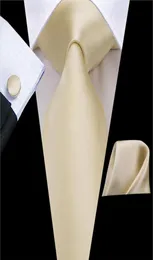 HiTie Men Tie Solid Champagne Silk Tie Party Wedding Ties for Men Silk Yellow Tie Set Cravat for Father C3266 Dropshiping8742846