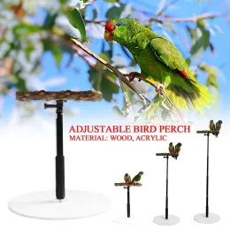 Perches Adjustable Height Parrot Perch T Stand Parrot Training Play Stand Platform Portable Cage Bird Perch Standing For Finch Para N9R8