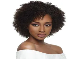 New high quality women039s brazilian Hair African American kinky curly wig Simulation Human Hair afro short curly wig for lady 8618357193